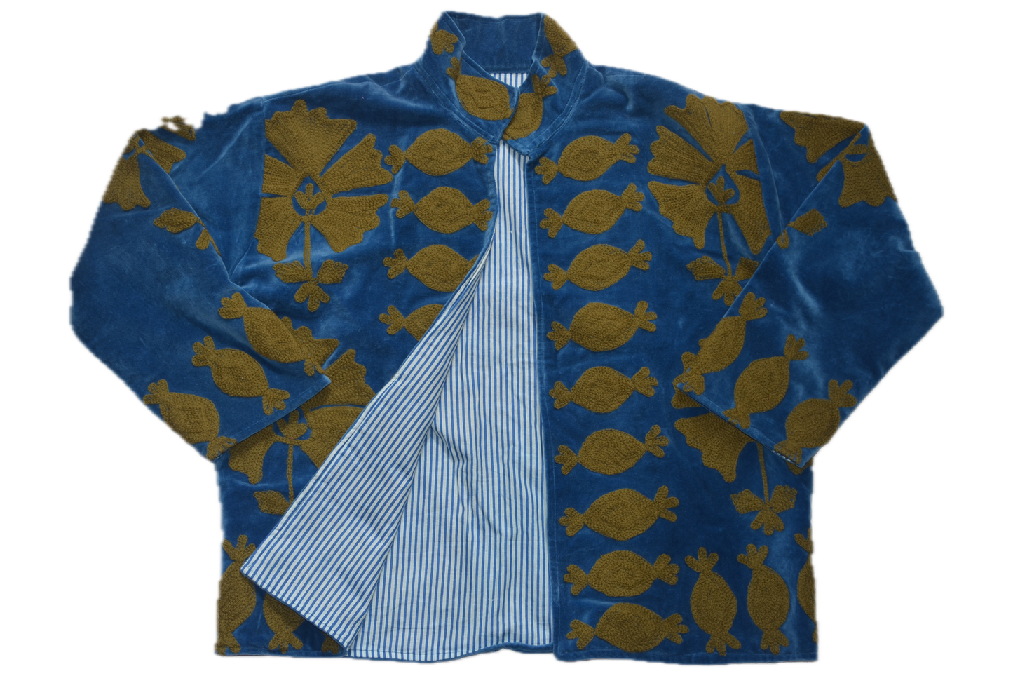 zari jacket
