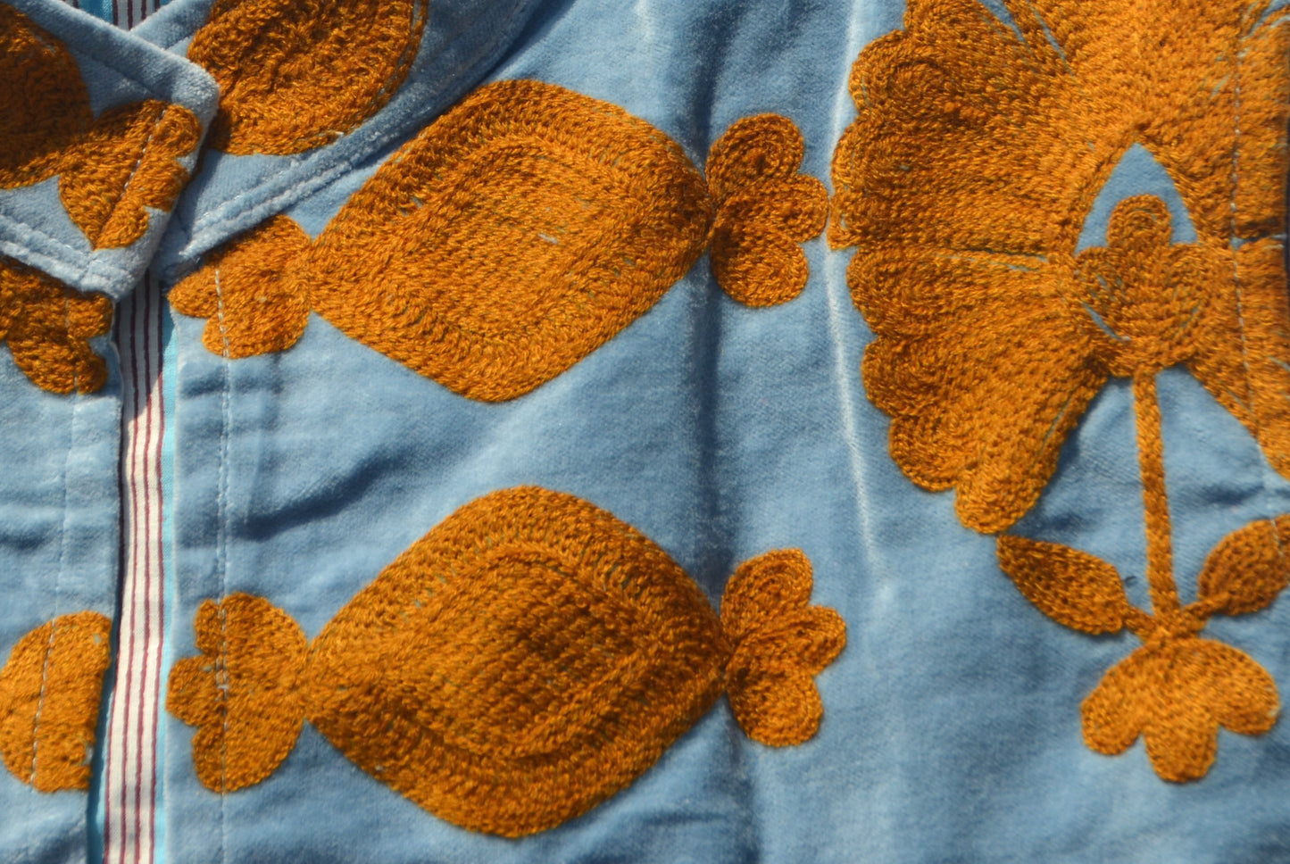 himalaya vest